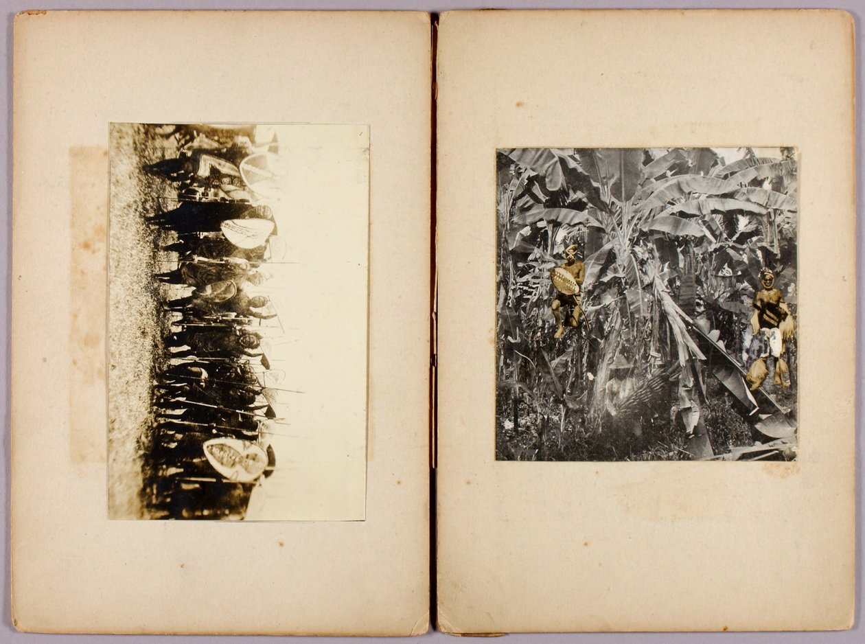 Māori en andere wilden, studiemap voor het boek Concealing Coloration in the Animal Kingdom door Abbott Handerson Thayer