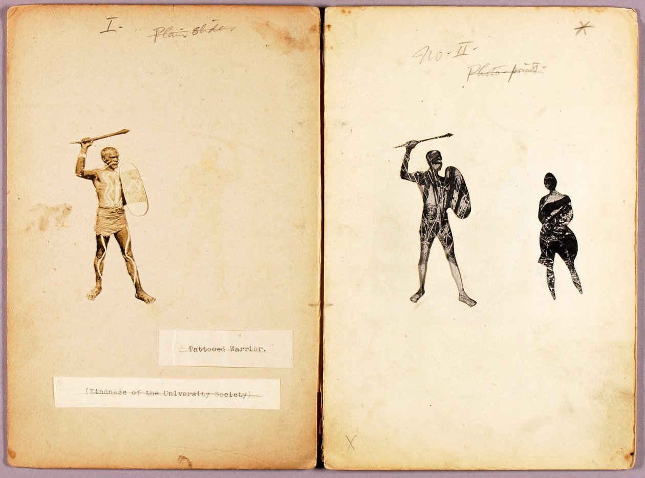 Tattooing-Single Warrior, studiemap voor boek Concealing Coloration in the Animal Kingdom door Abbott Handerson Thayer