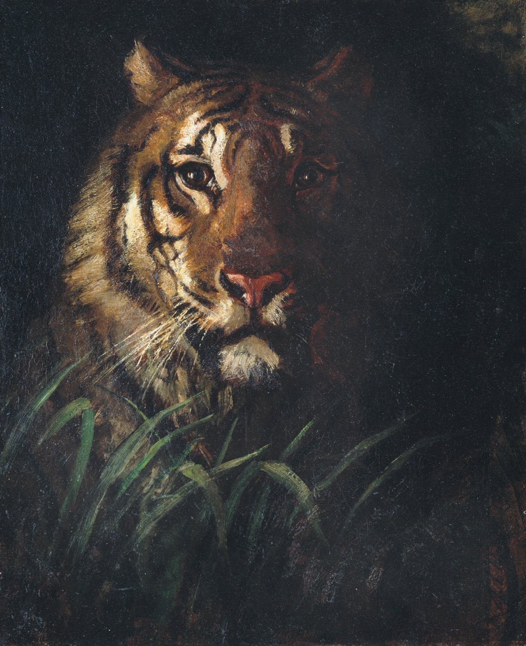 Tijgerkop door Abbott Handerson Thayer