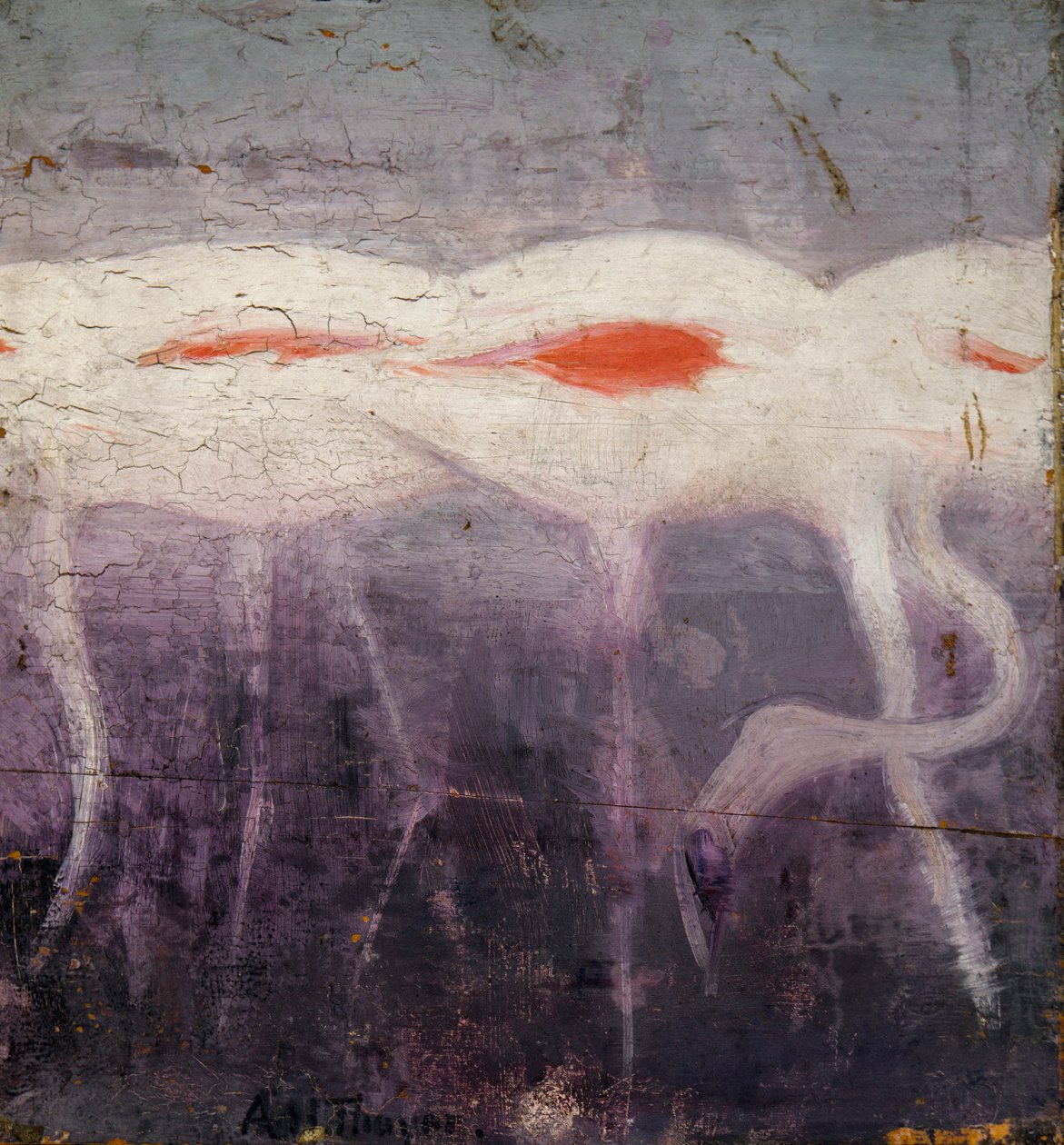 Witte flamingo