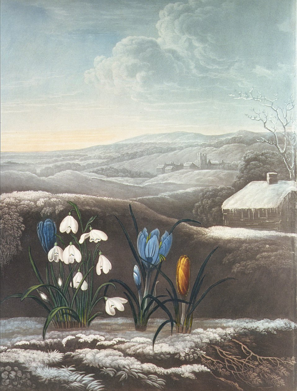 Het sneeuwklokje door Abraham Pether