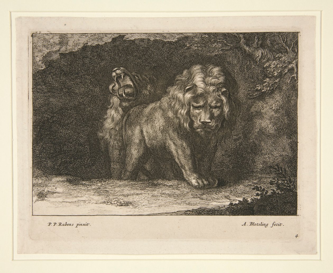 Lions. From the series door Abraham Blooteling
