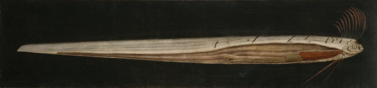  door Abraham Bruiningh van Worrell