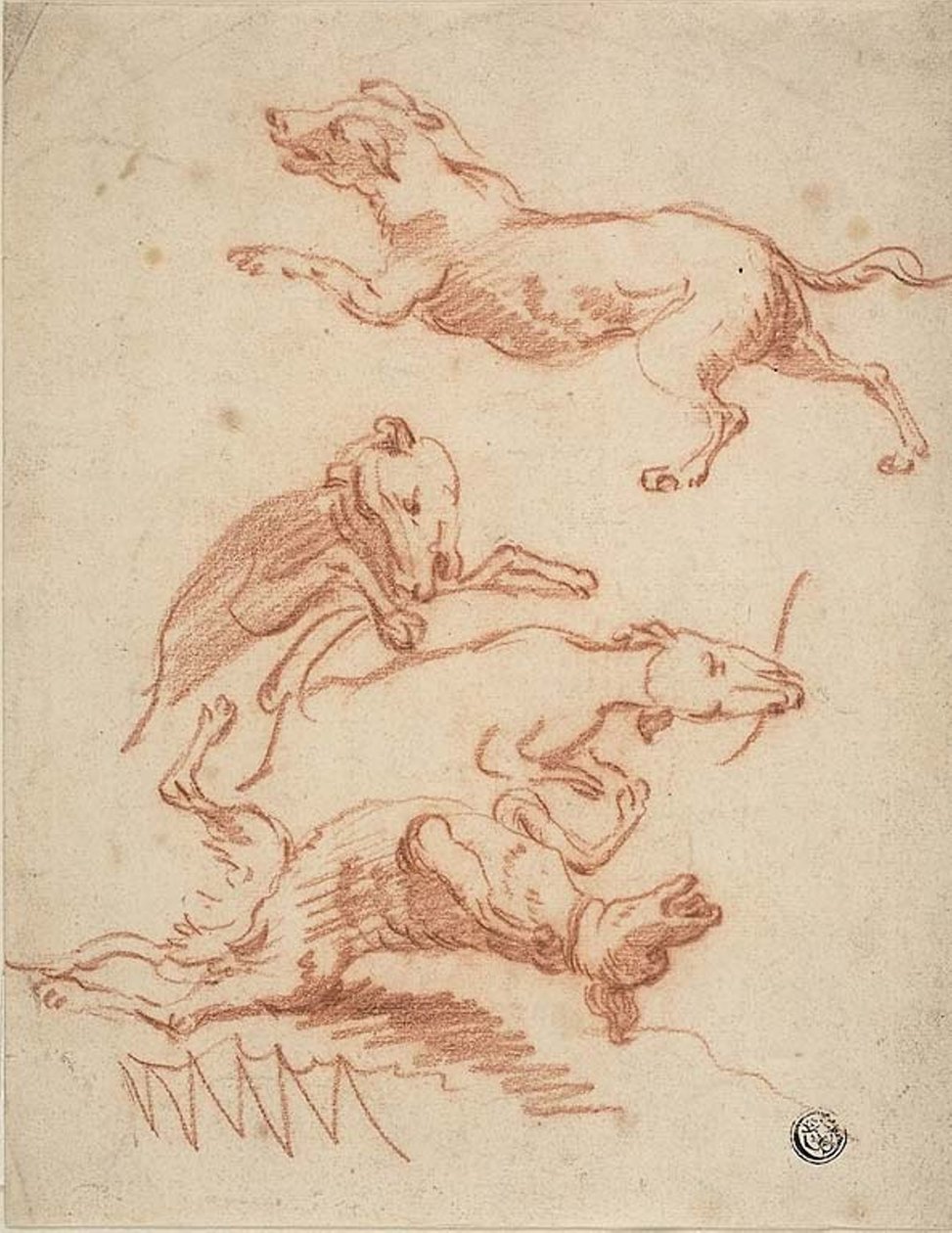 Schetsen van Stoeiende Honden door Abraham Hondius
