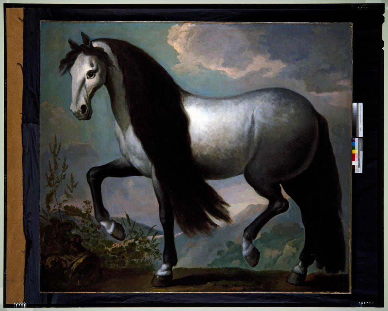 Paard in een Landschap door Abraham Jansz. van Diepenbeeck