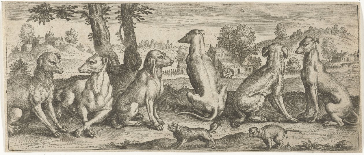 Honden door Abraham de Bruyn (possibly)
