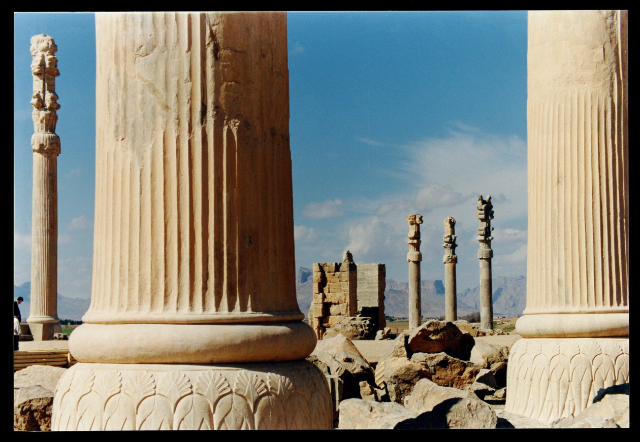 Kolommen van de oostelijke portiek van de Apadana, c.500-480 v.Chr. door Achaemenid