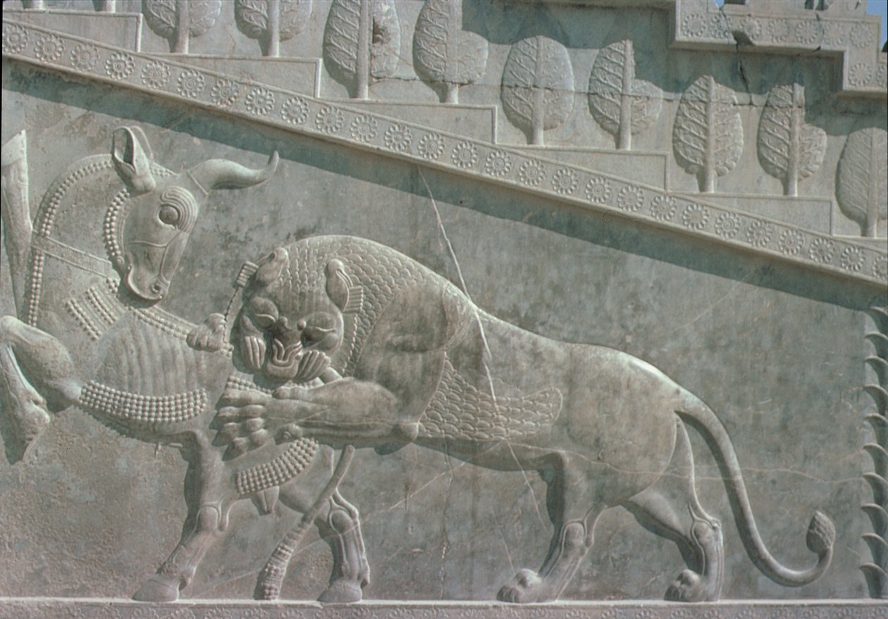 Reliëf op de oostelijke trap van de Apadana met een leeuw die vecht met een stier door Achaemenid