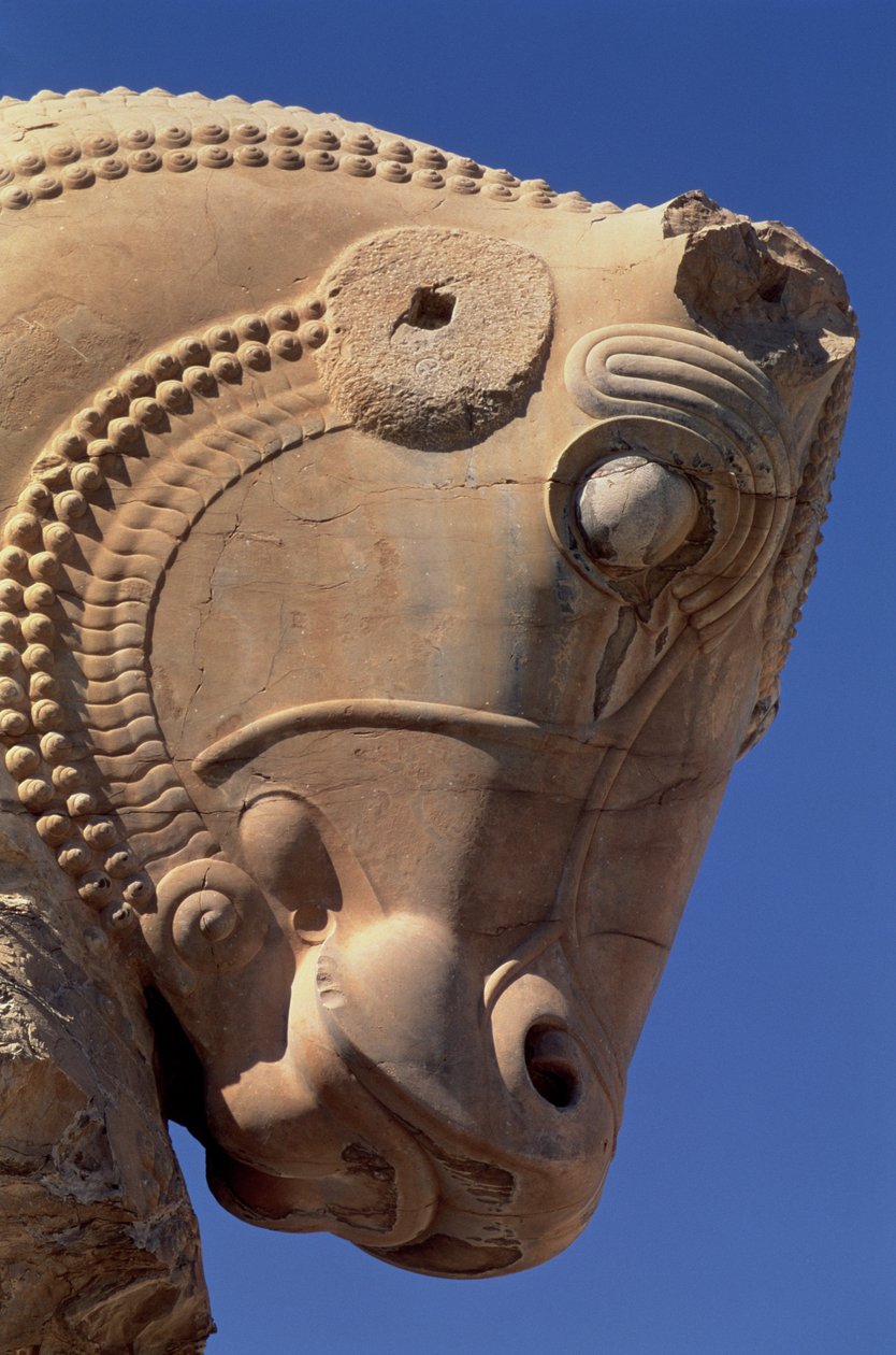 Stierenkop op het noordelijke portiek van de Troonzaal van Xerxes door Achaemenid