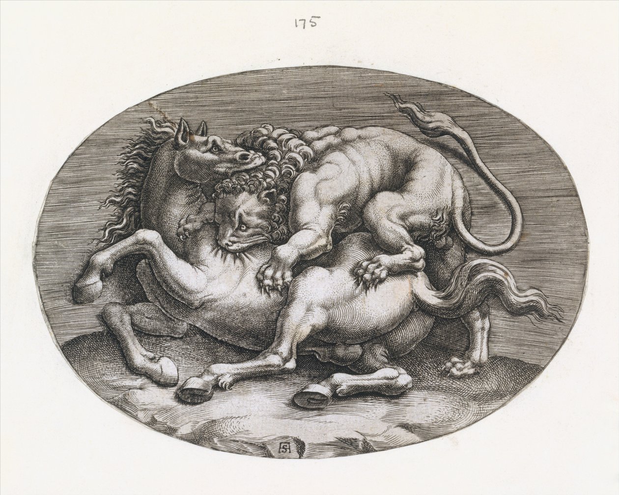 Speculum Romanae Magnificentiae: Leeuw die een paard aanvalt, ca. 1540-80 door Adamo Scultori