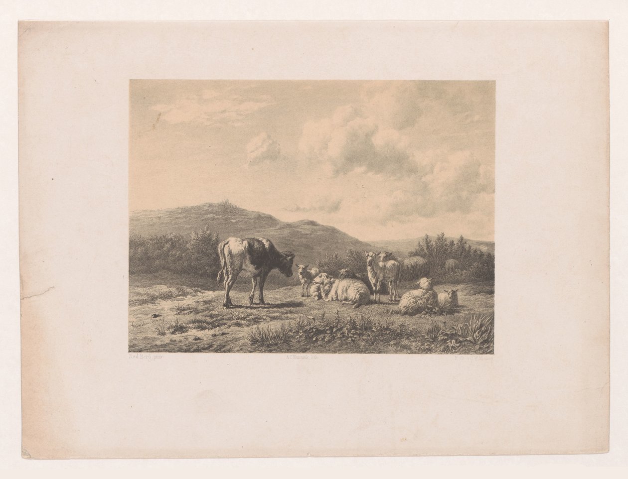 Landschap met vee door Adolf Carel Nunnink