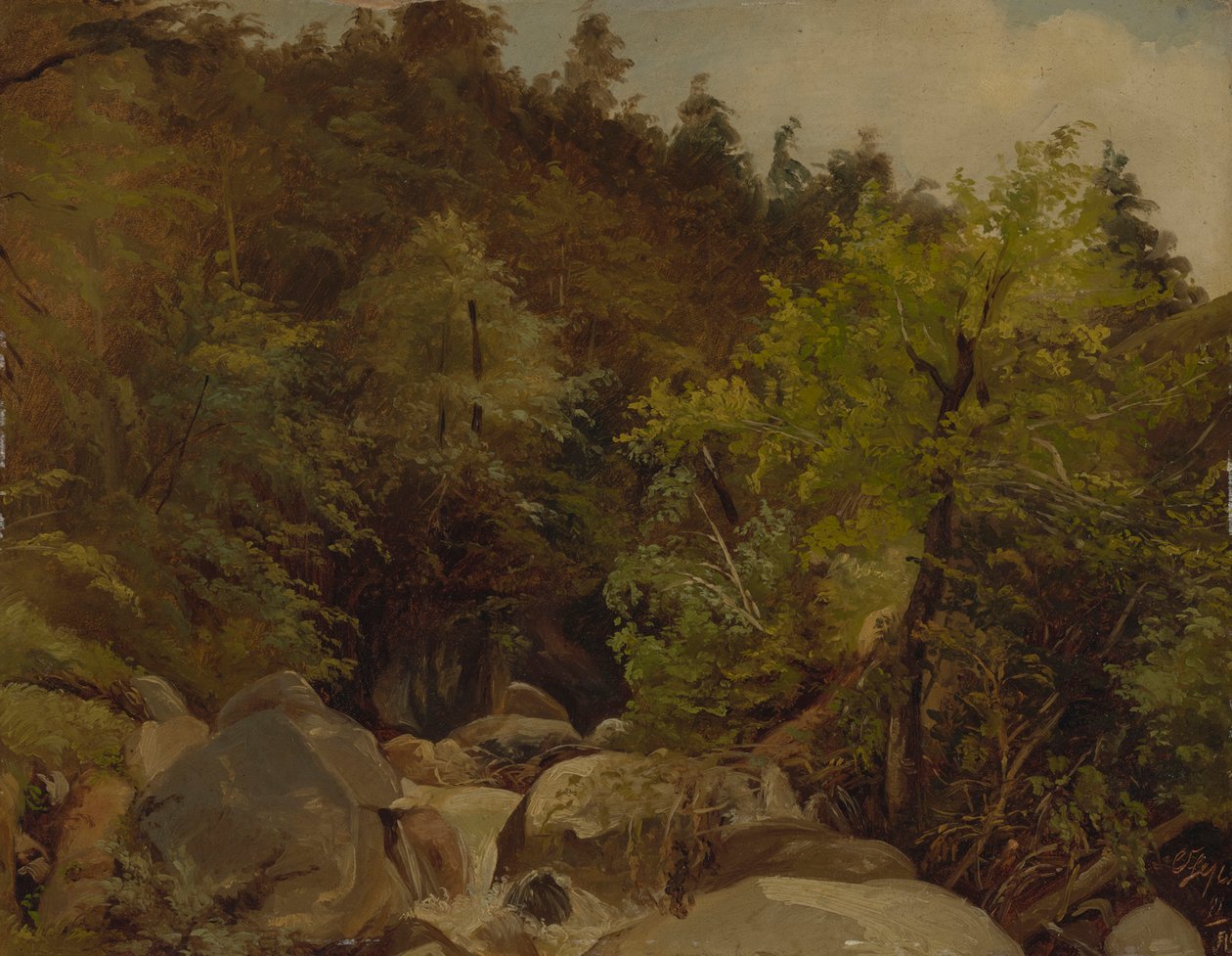Waterval bij Ohlstadt door Adolf Heinrich Lier