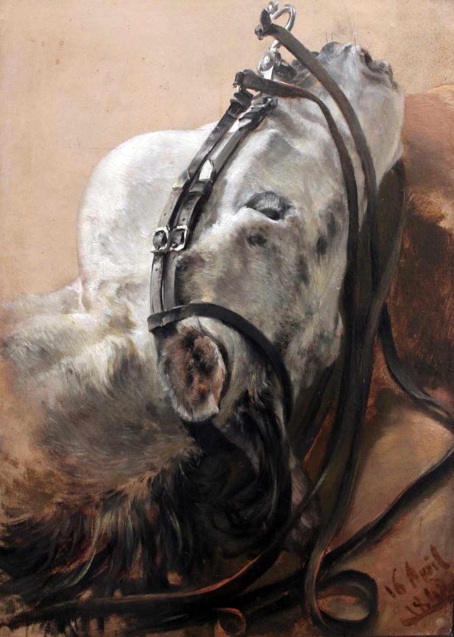 Paardenstudie door Adolph Menzel
