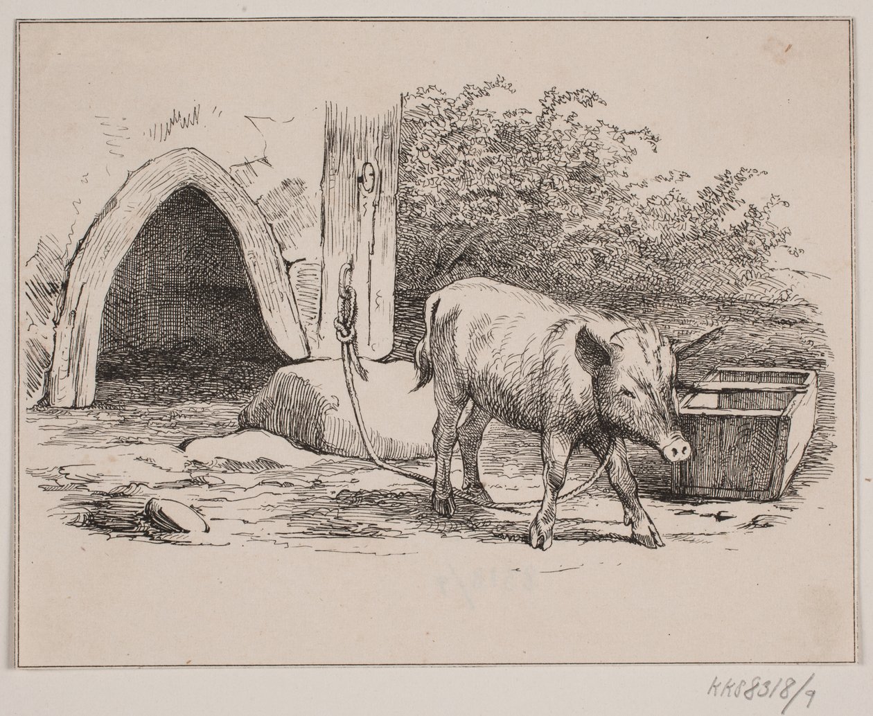 De kettingvarken door Johan Adolph Kittendorff