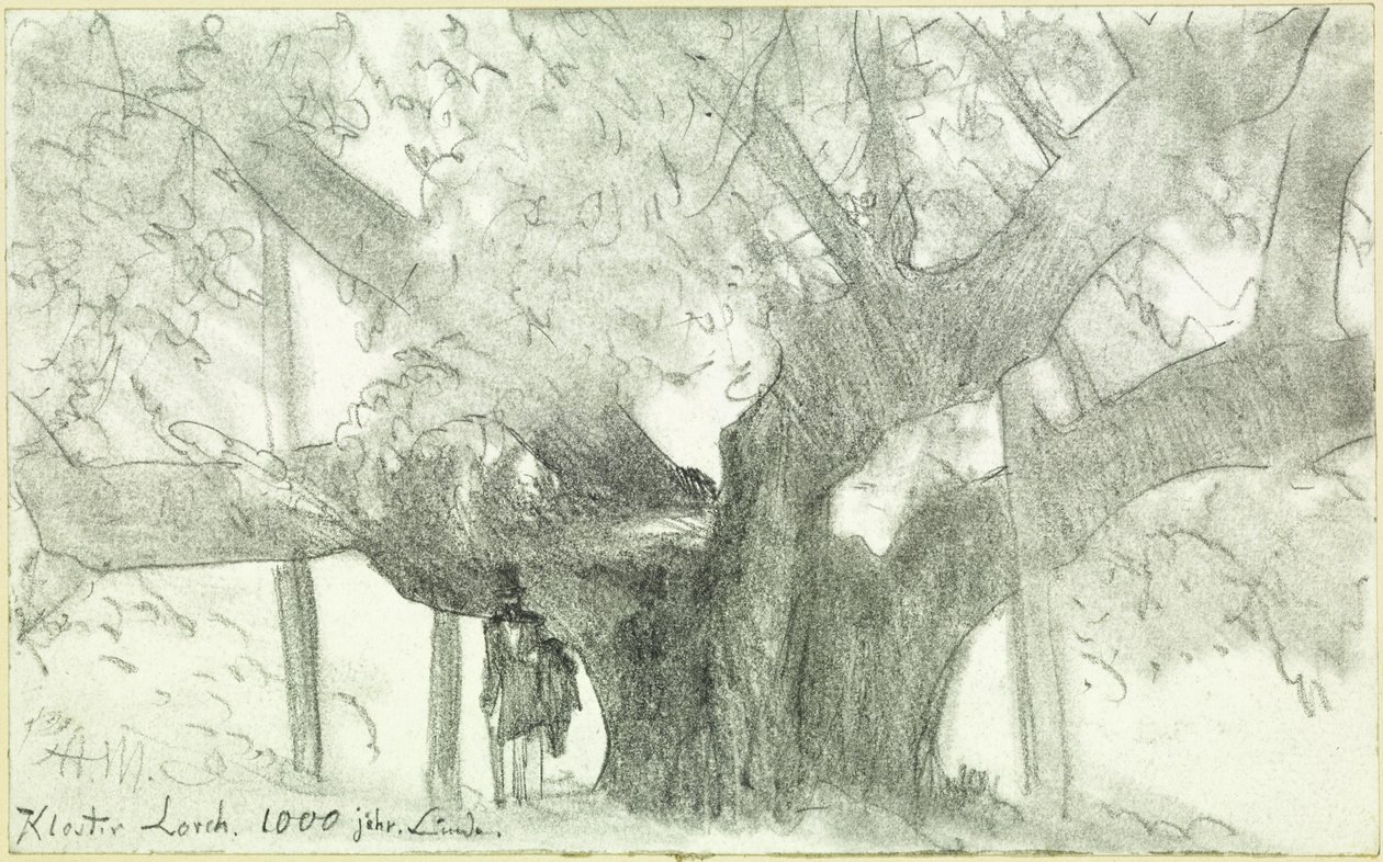 De 1000 jaar oude linde in het klooster van Lorch door Adolph Menzel