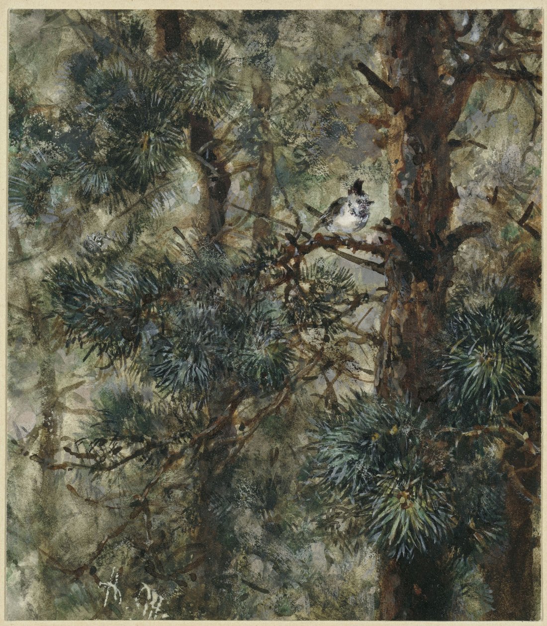 De kuifmees in de takken van een dennenboom. Uit het „Kinderalbum“ door Adolph Menzel