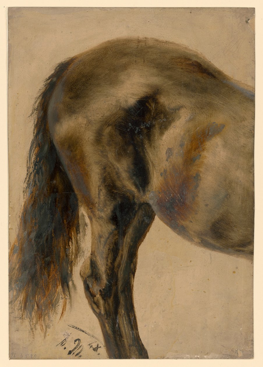 Achterkant van een paard in profiel door Adolph Menzel