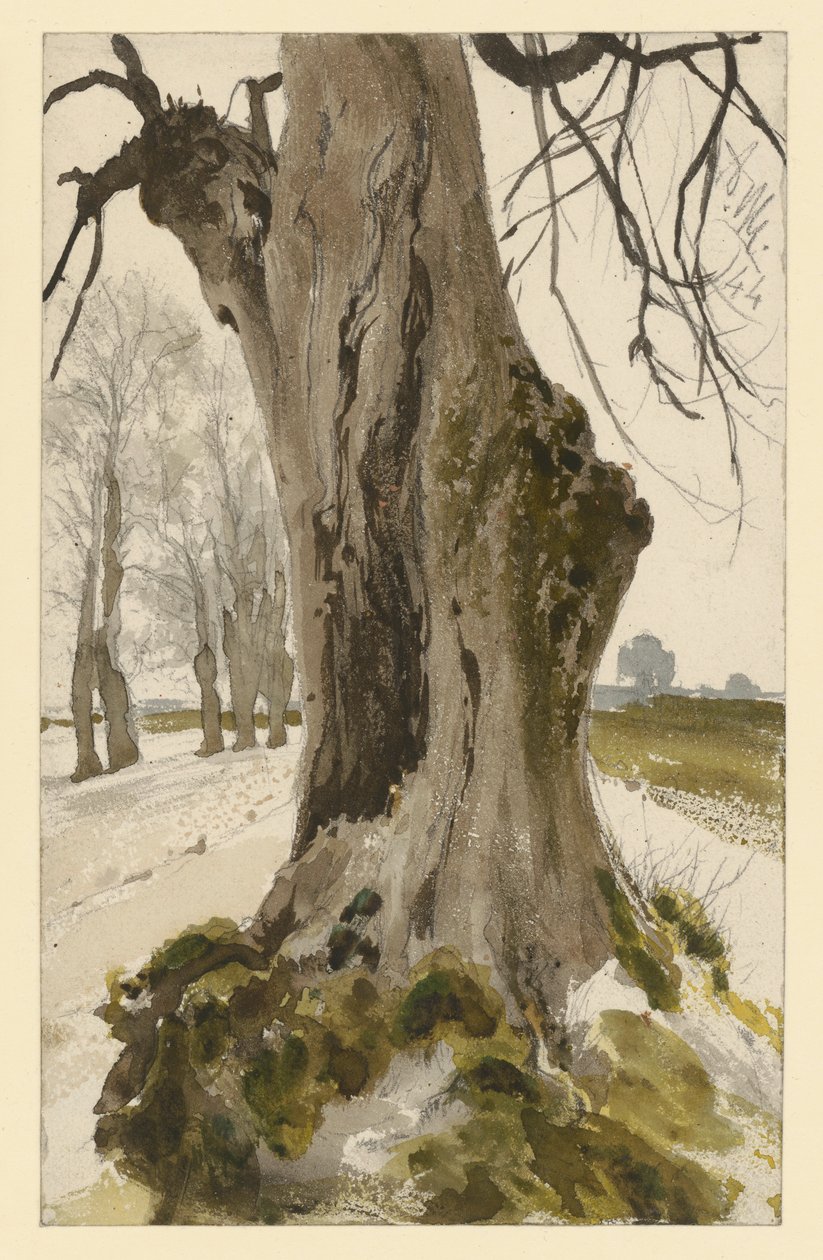 Holle boomstronk, met op de achtergrond een groep bomen door Adolph Menzel