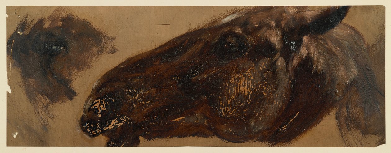 Hoofd van een paard naar links, de ogen zijn herhaald door Adolph Menzel