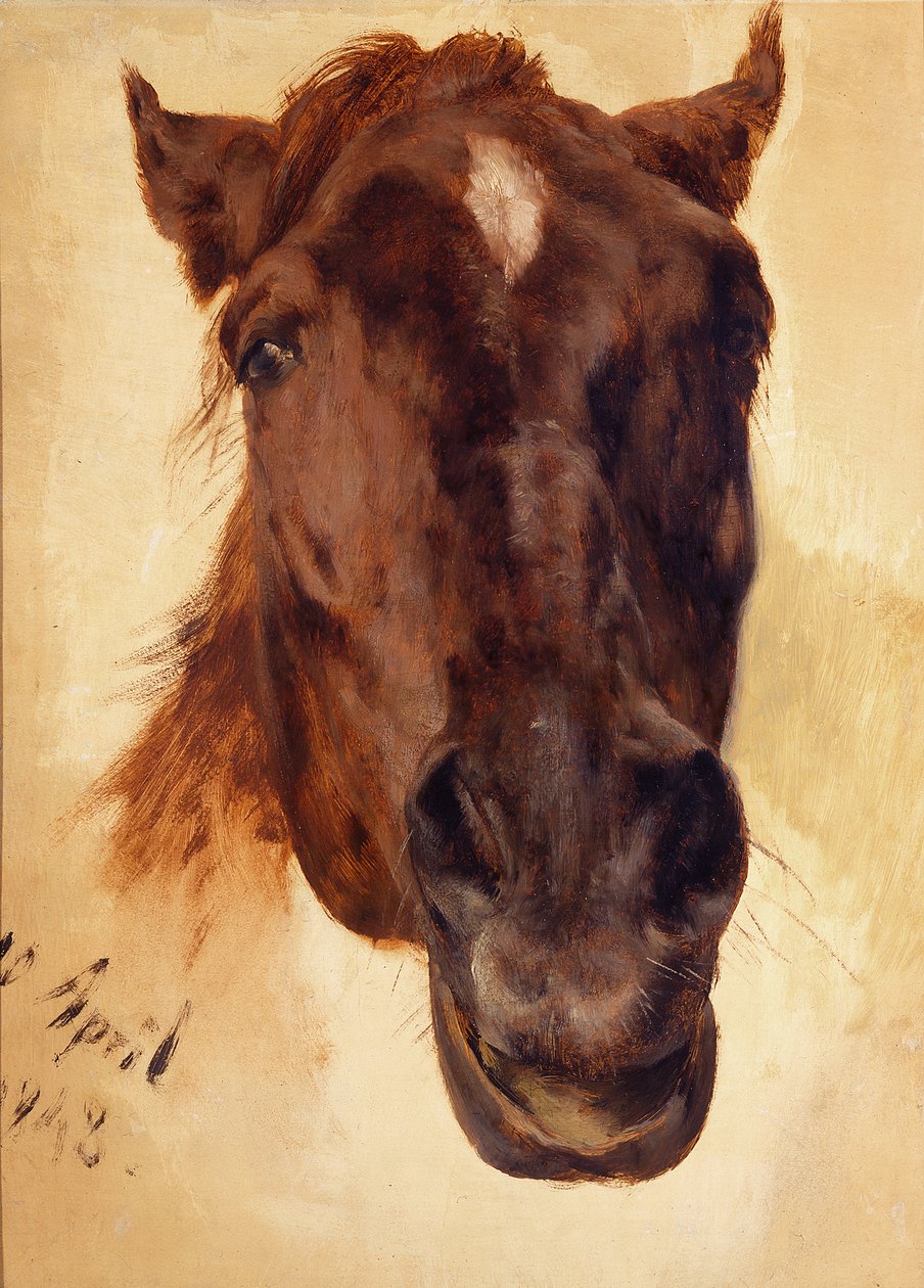 Paardenkop door Adolph Menzel