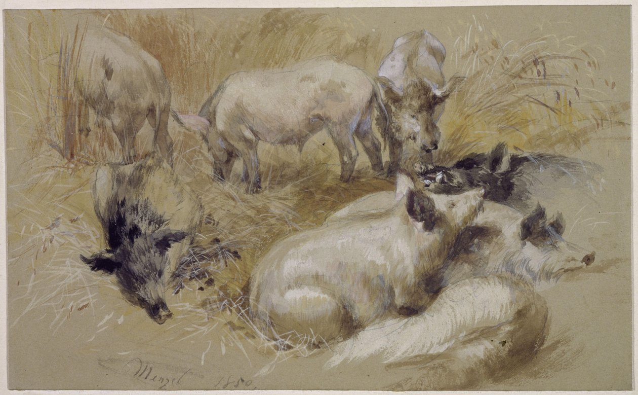 Varkens in een korenveld door Adolph Menzel