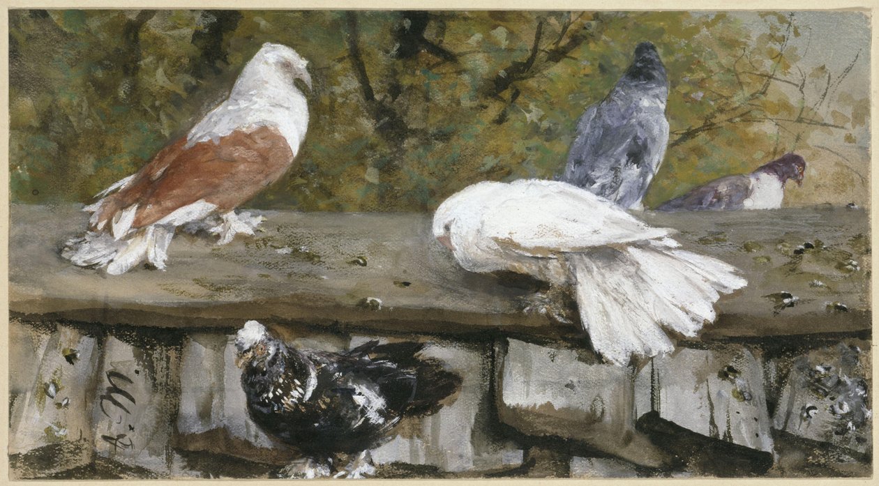 Duiven op een houten dak. Uit het “Kinderalbum” door Adolph Menzel