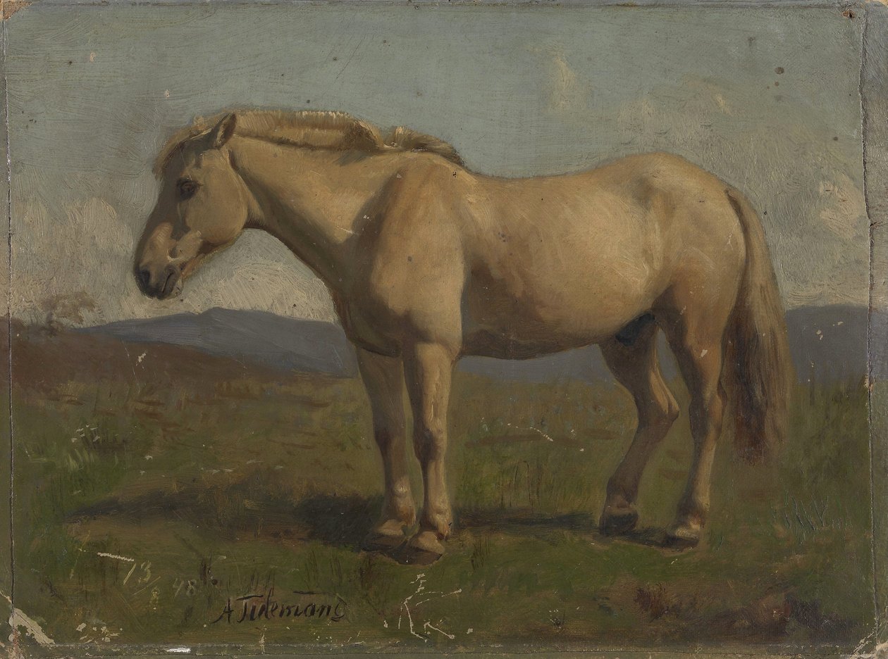 Een bruin paard door Adolph Tidemand