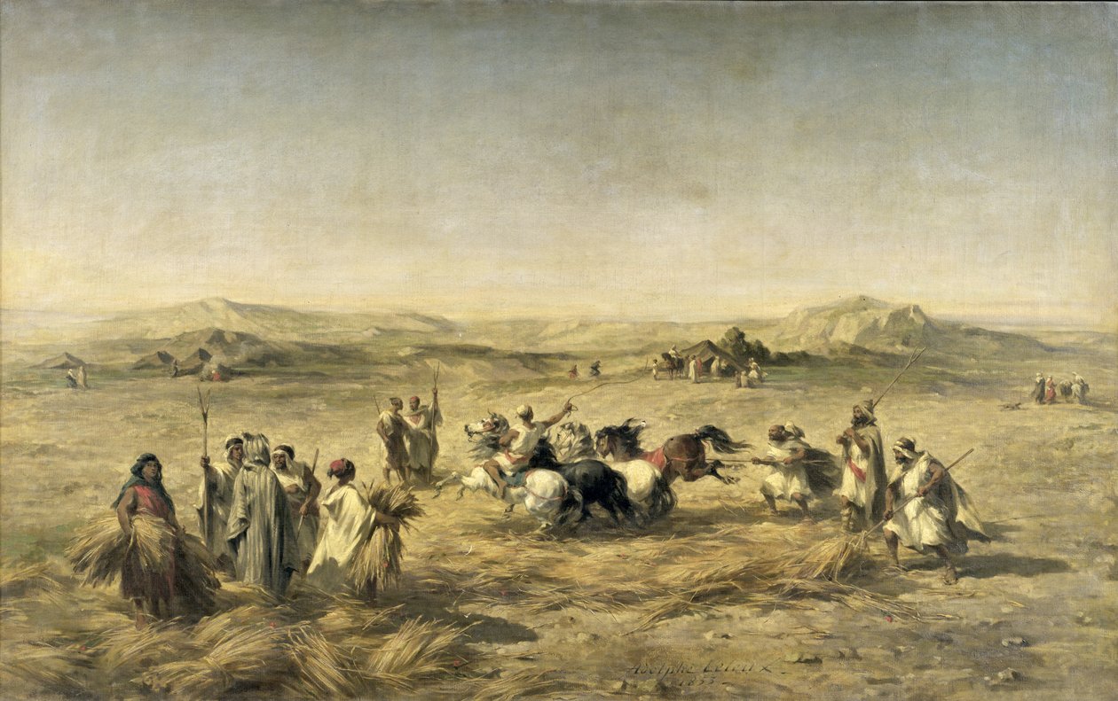 Tarwe dorsen in Algerije, 1853 door Adolphe Pierre Leleux