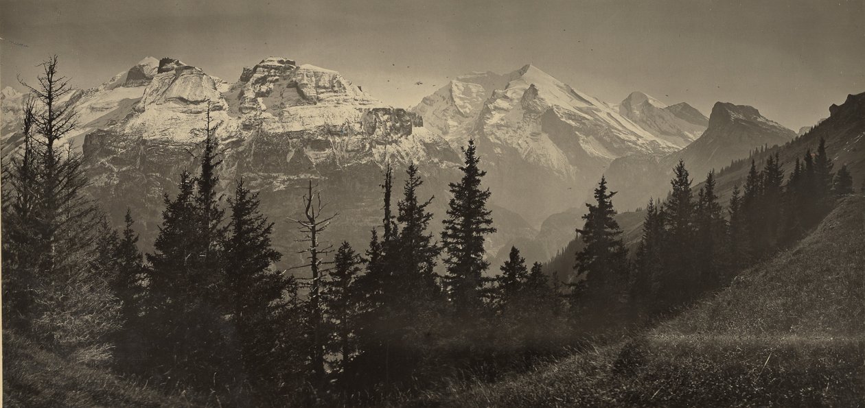 [Alpien landschap] door Adolphe Braun