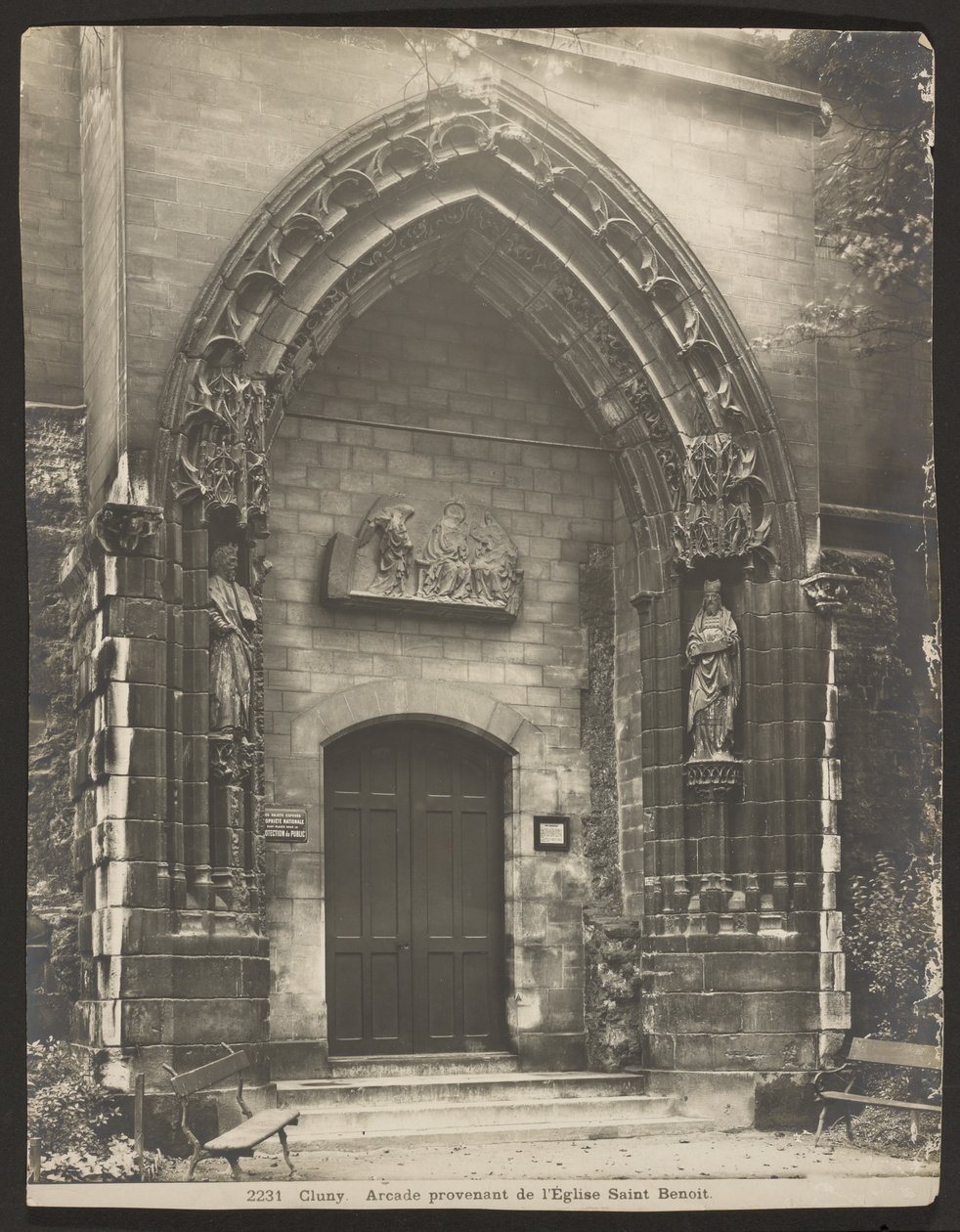 Cluney door Adolphe Braun