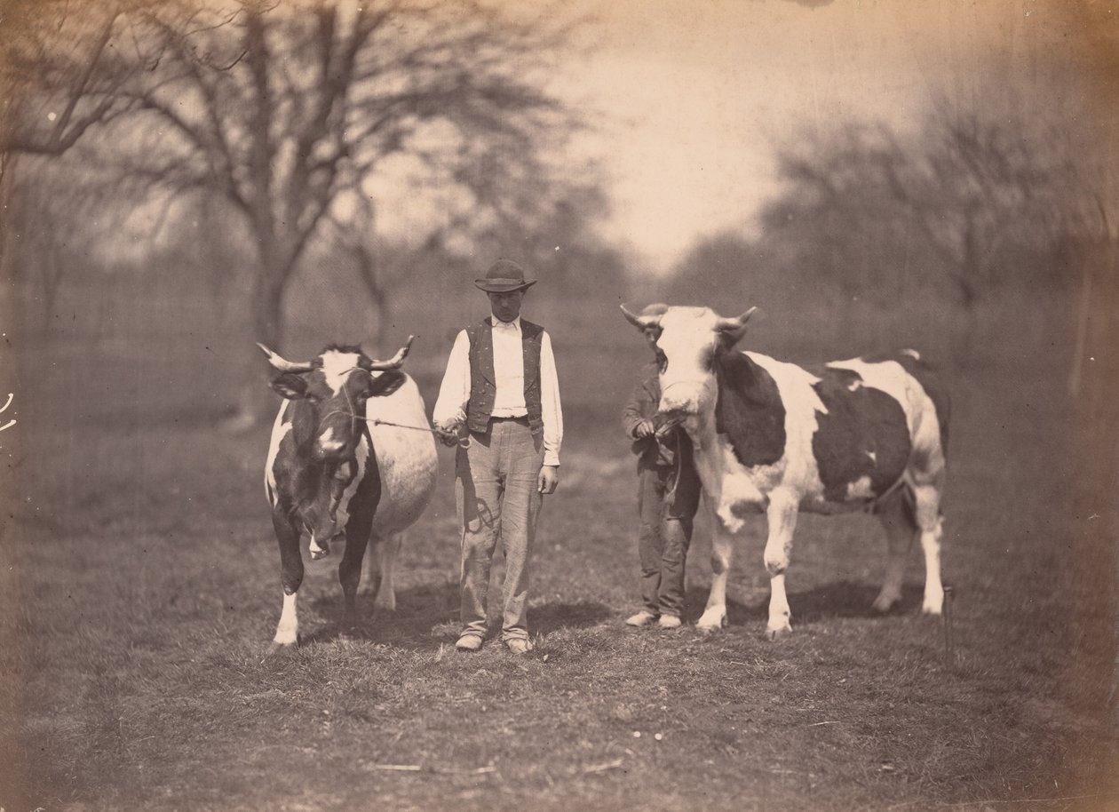 Landschap door Adolphe Braun