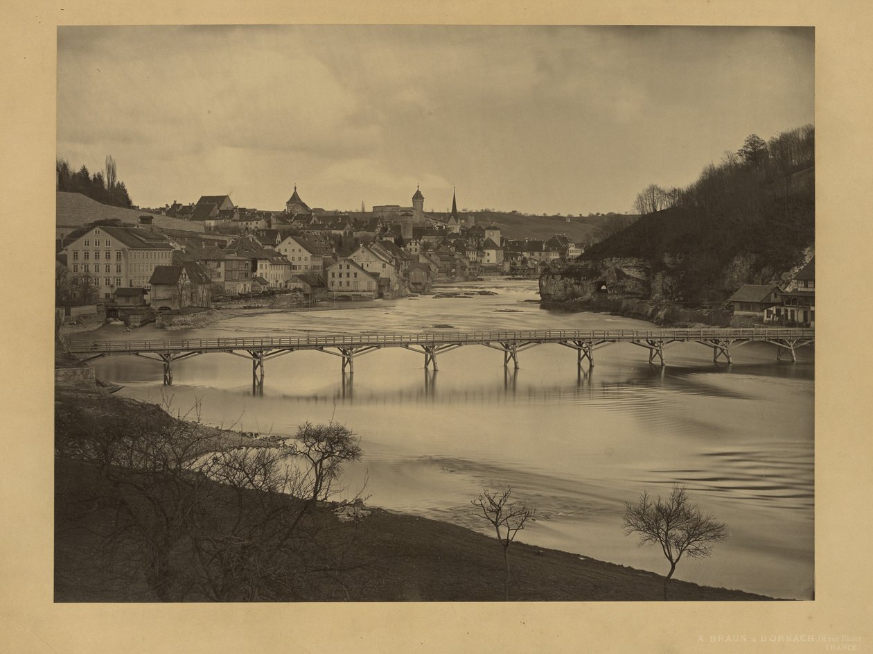 [Uitzicht op Schaffhausen, Zwitserland] door Adolphe Braun