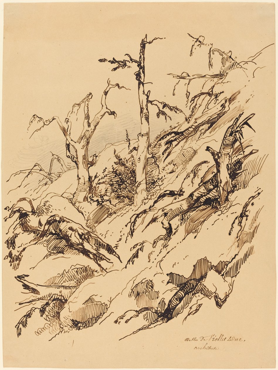 Een Rotsachtige Heuvel met Dode en Stervende Bomen door Adolphe Etienne Viollet Le Duc II
