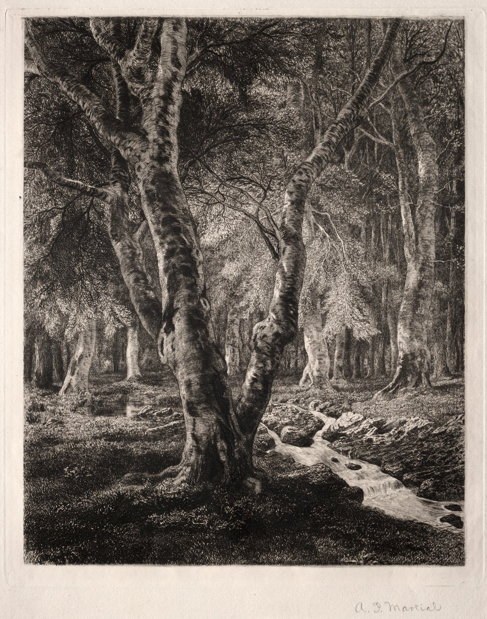 Bos van Pierrefonds door Adolphe Théodore Jules Martial Potémont