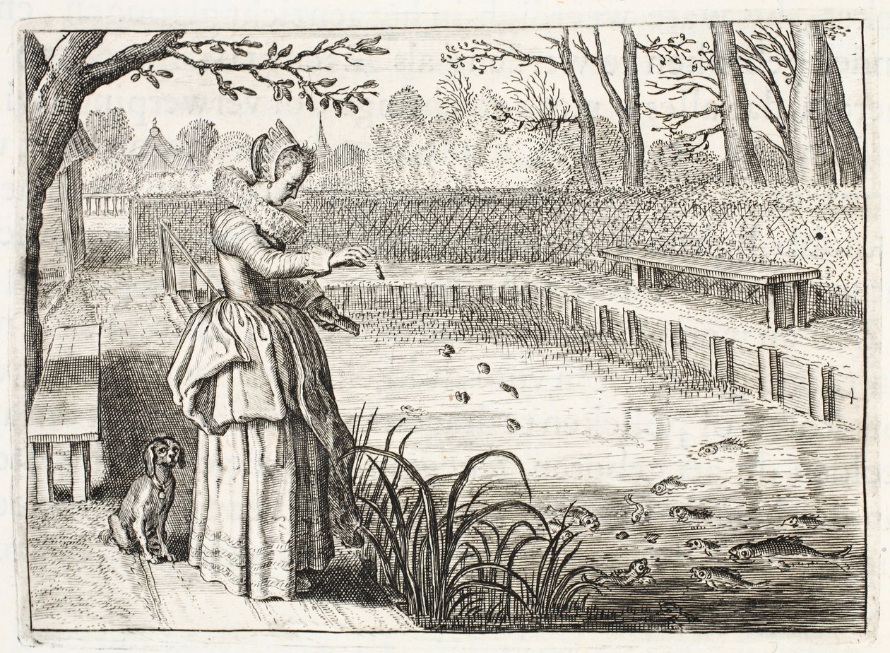 De vissen voeren, illustratie uit 