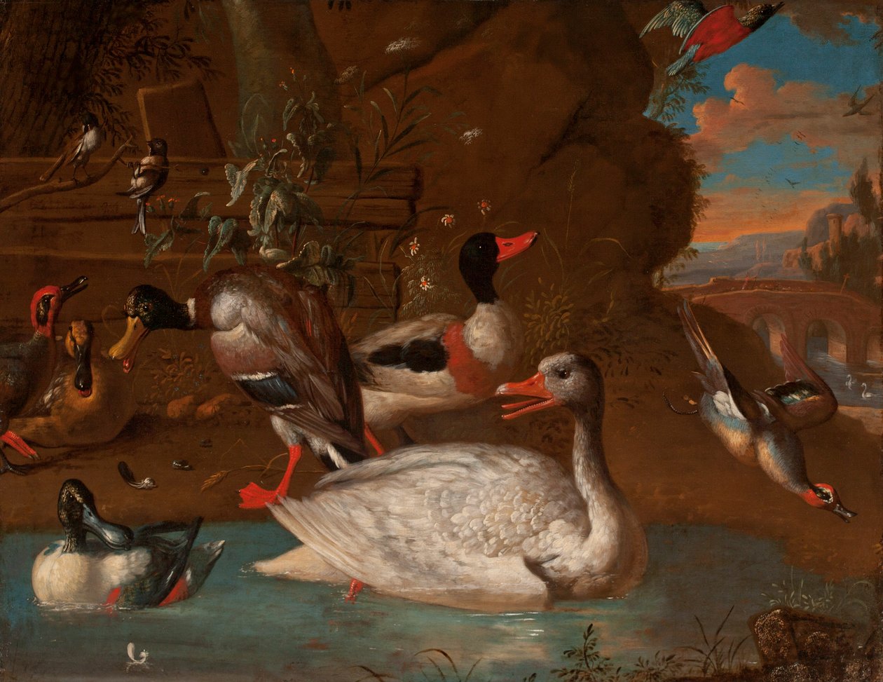 Een Noorse Witte Gans omringd door een Bergeend, Wilde Eend, Slobeenden, Wintertalingen en Staartmezen in een Italiaans landschap bij schemering, 1703 door Adriaen van Oolen