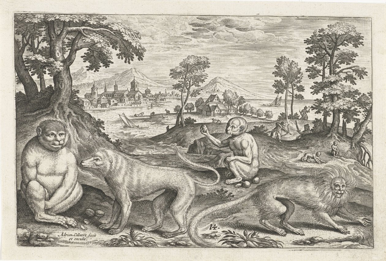 Apen door Adriaen Collaert