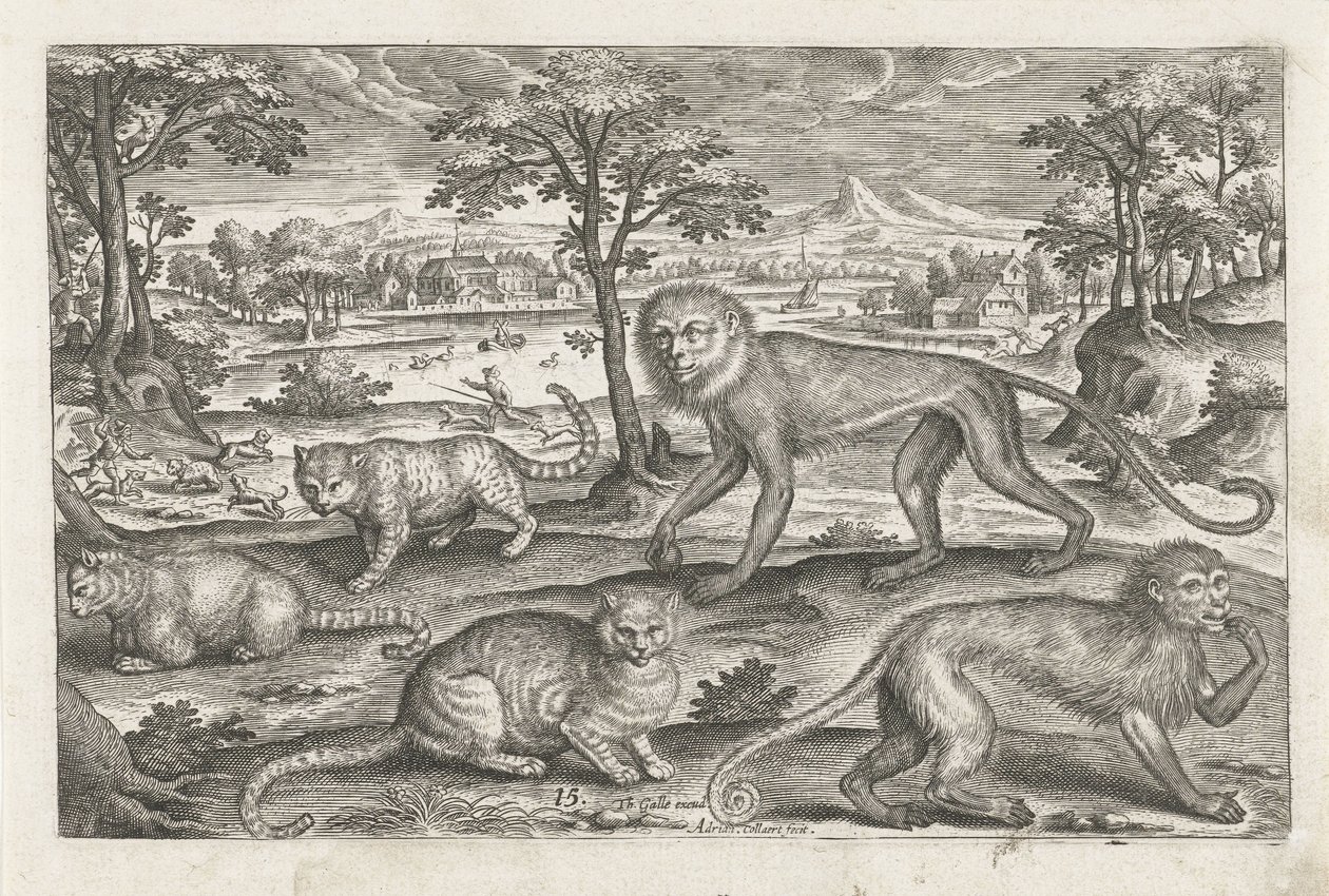Apen en katten door Adriaen Collaert