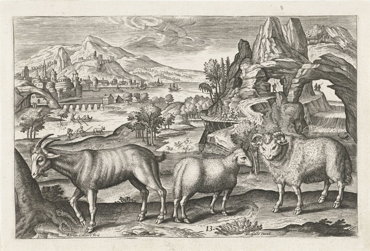 Bok en schapen door Adriaen Collaert