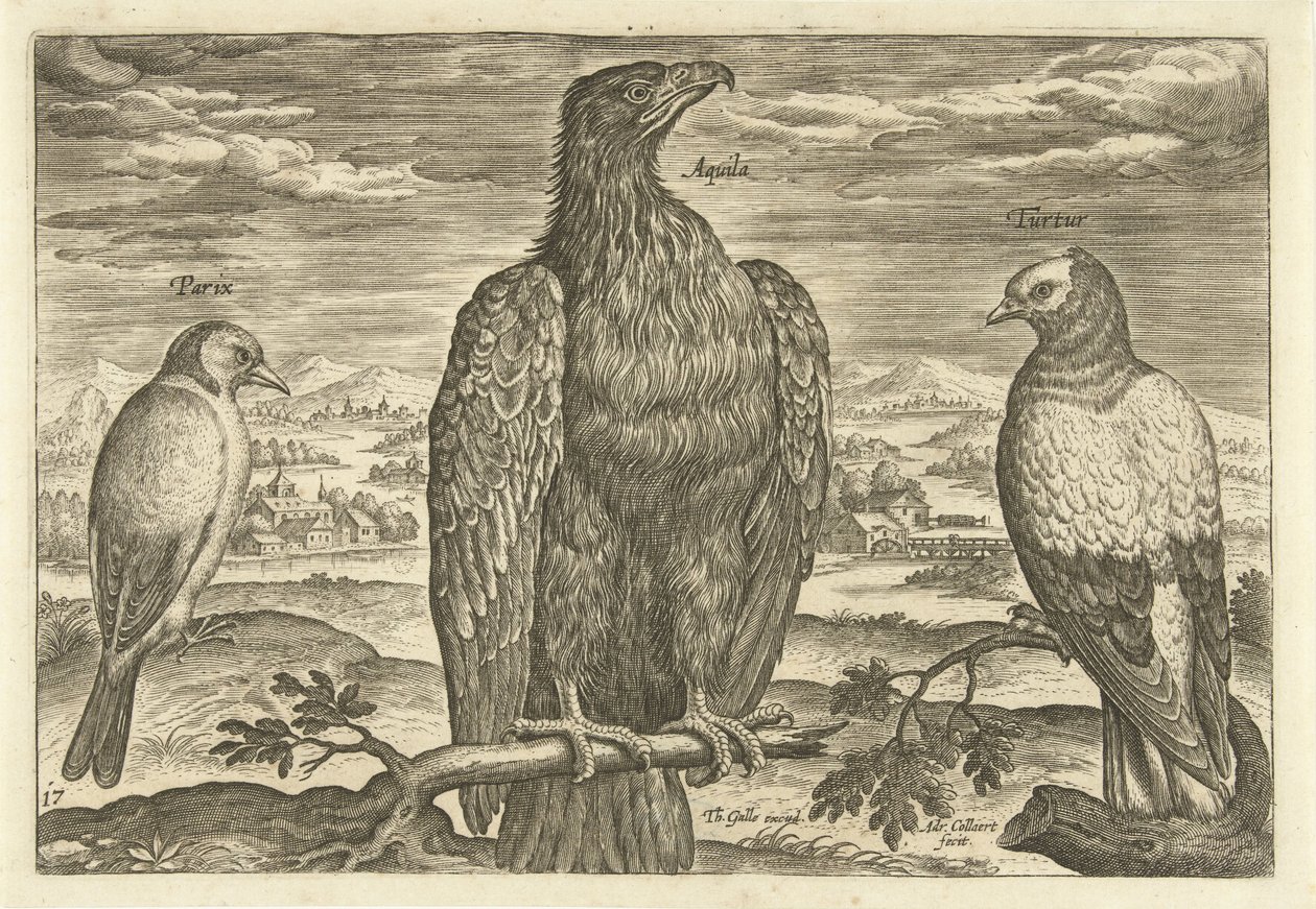 Drie vogels in een landschap door Adriaen Collaert