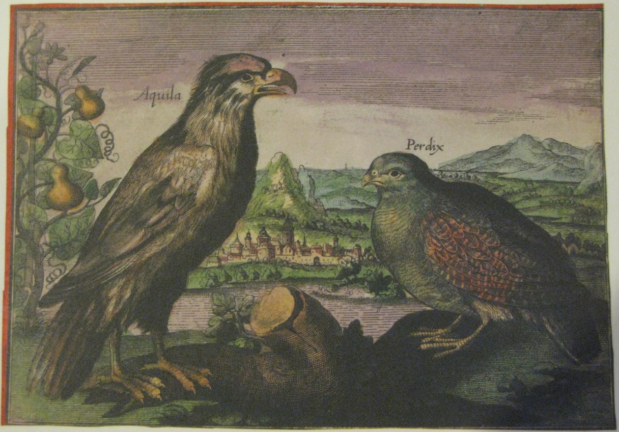 Adelaar en patrijs, Iconotheca Valvasoriana door Adriaen Collaert