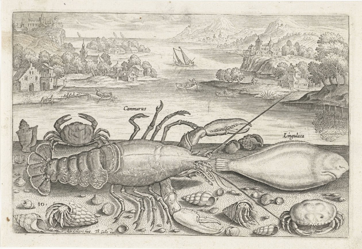 Een vis en enkele schaaldieren op het strand door Adriaen Collaert