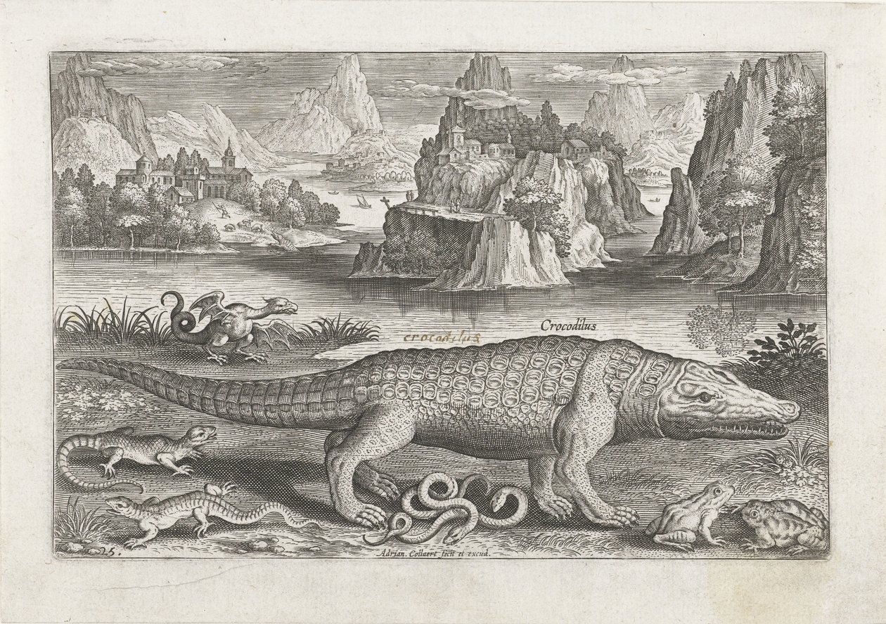 Enkele reptielen en amfibieën op een oever door Adriaen Collaert