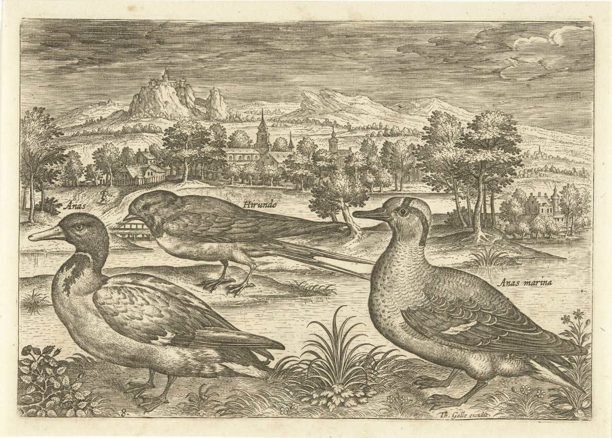 Enkele vogels in een landschap door Adriaen Collaert