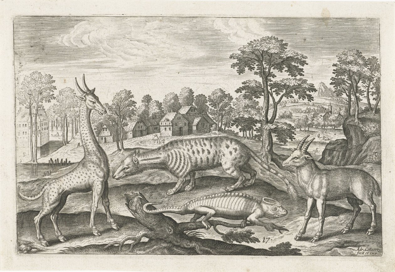 Exotische dieren door Adriaen Collaert