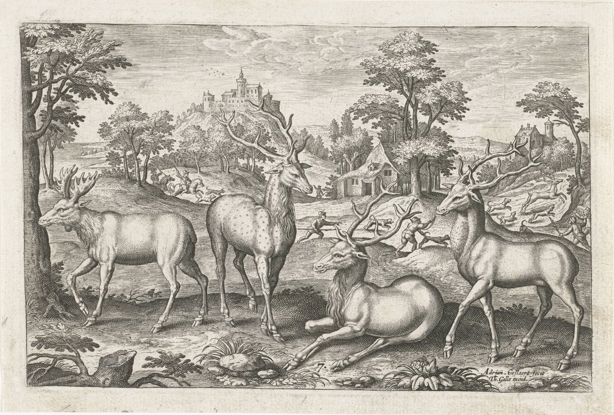 Herten door Adriaen Collaert
