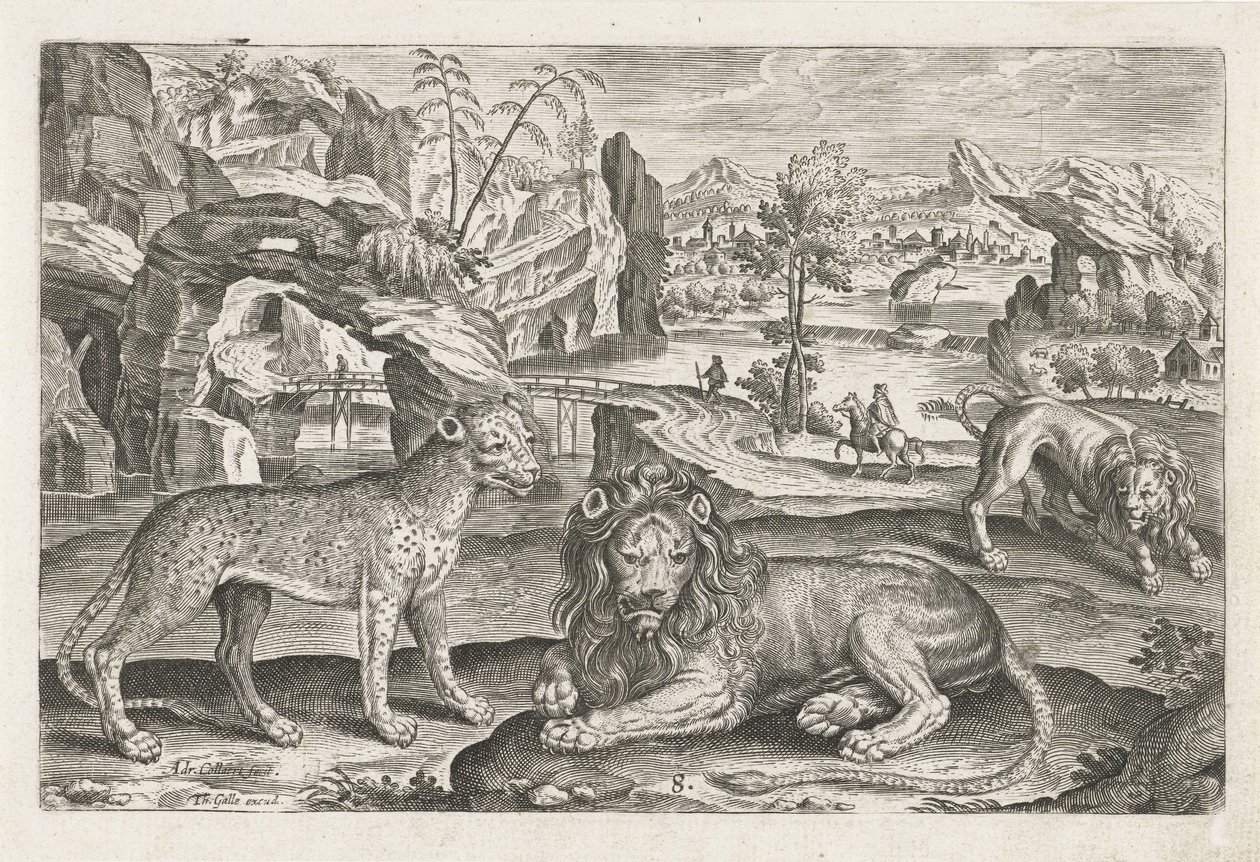 Leeuwen en luipaard door Adriaen Collaert