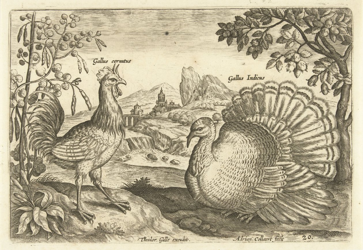 Twee hoenderen in een landschap door Adriaen Collaert