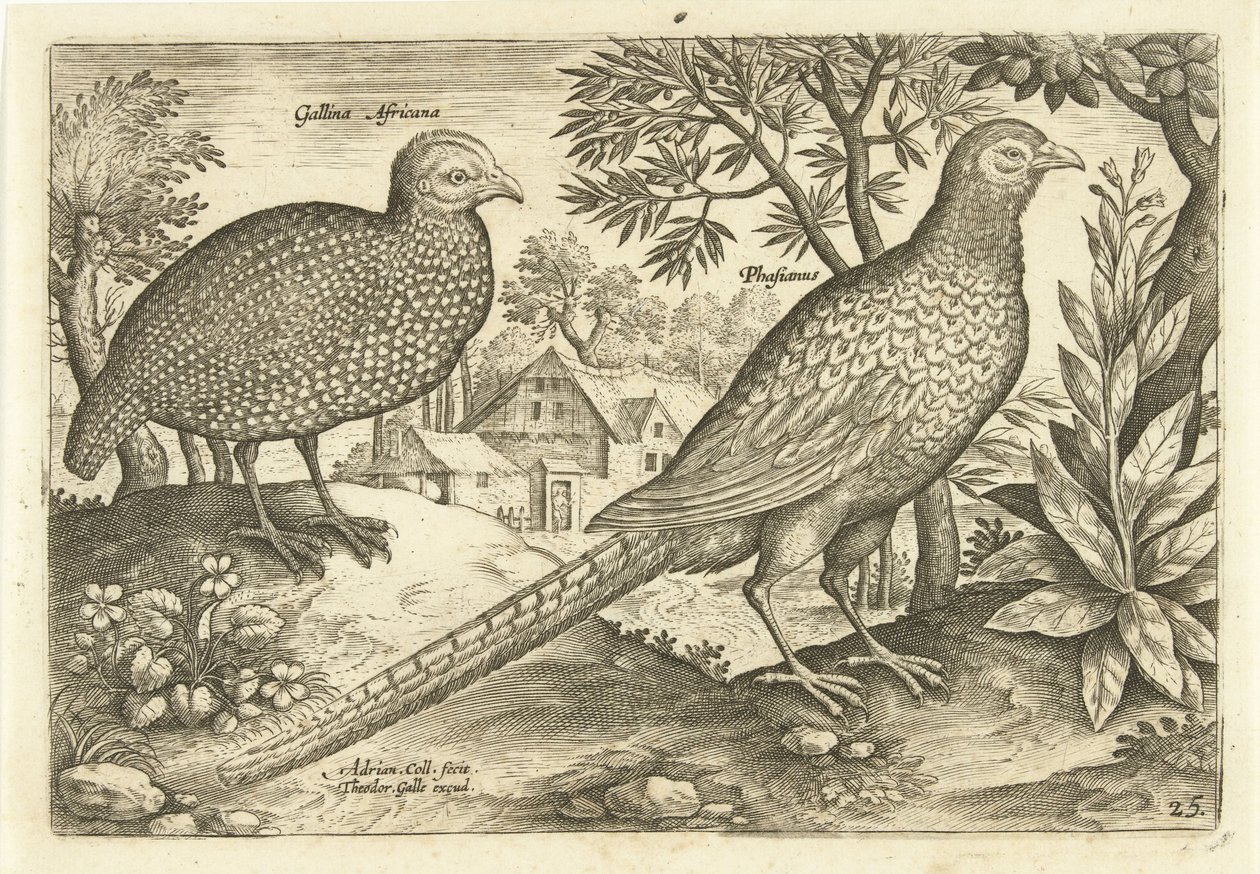 Twee hoenders in een landschap door Adriaen Collaert