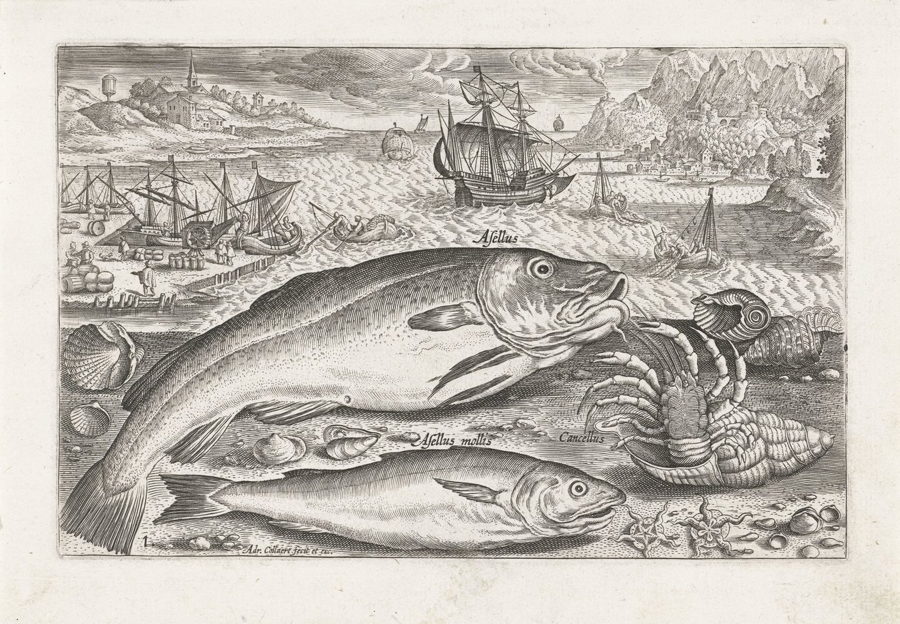 Twee vissen op het strand door Adriaen Collaert
